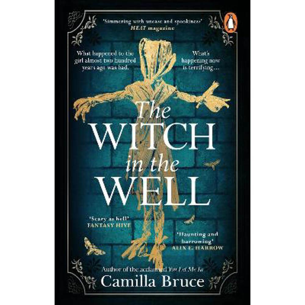 The Witch in the Well: A deliciously disturbing Gothic tale of a revenge reaching out across the years (Paperback) - Camilla Bruce